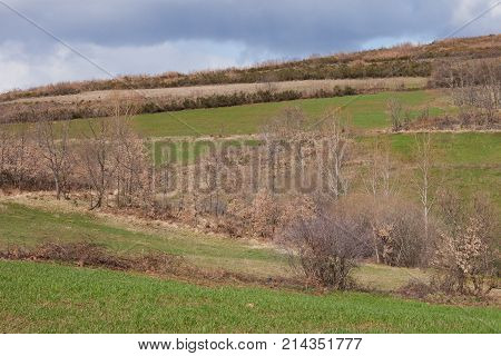 The Natural Park of Montesinho (PNM) is located in the Northeast of Tras-os-Montes (Portugal). It has a dimension of about 75 thousand hectares. Recognized in 1979 as a Natural Park it currently has 9000 inhabitants and 92 villages. Located in Terra Fria