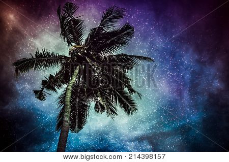 Glowing of the milky way galaxy in the night sky with many stars above coconut plam. Beautiful natural glitter of starry on darkness background. Serenity nature.