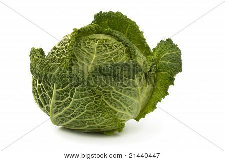 Kapusta