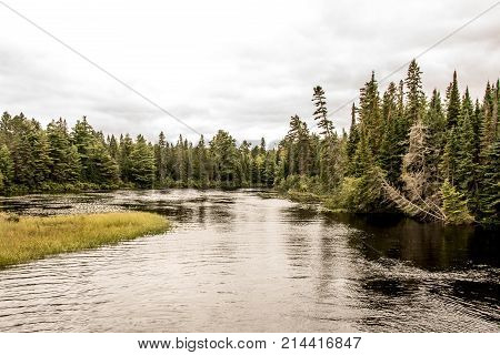 Canada Ontario Lake of two rivers - natural wild landscape near the water in Algonquin National Park