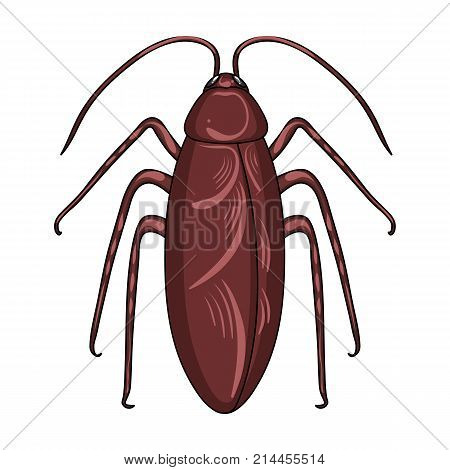 Insect cockroach single icon in cartoon style for design.Pest Control Service vector symbol stock illustration .