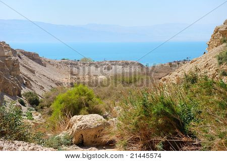 Ein Gedi Naturreservat