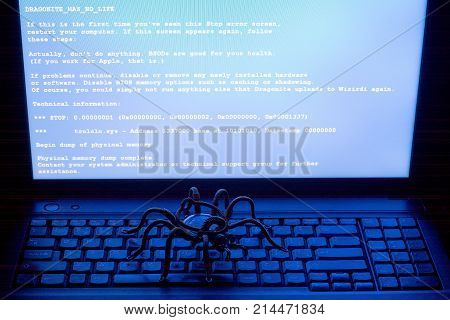 Spider on the computer keyboard virus blue screen theme of information security