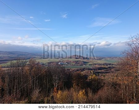 Meadow and forests in spring time in landscape