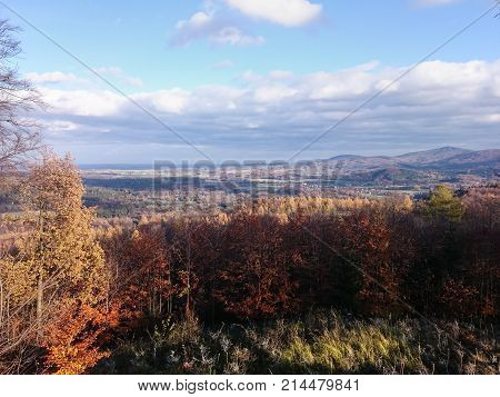 Meadow and forests in spring time in landscape