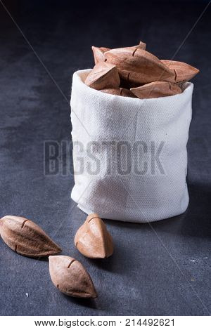 Canarium Ovatum Commonly Known As Pili Is A Species Of Tropical Tree