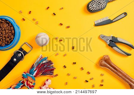 Accessories for the grooming of the dog on yellow background. Combs and brushes for dogs. Top view. Still life. Copy space. Flat lay