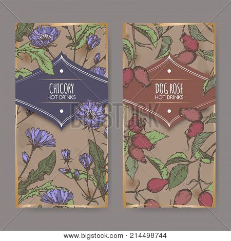 Two color labels with Cichorium intybus aka common chicory and Rosa canina aka dog rose sketches. Hot drinks collection. Great for cafe, bars, tea ads.