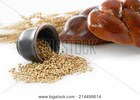 Handsful of wheat in front of delicious fresh bread loafs with millets isolated on white copyspace groceries bakery shop store eating food recipe ingredient concept.