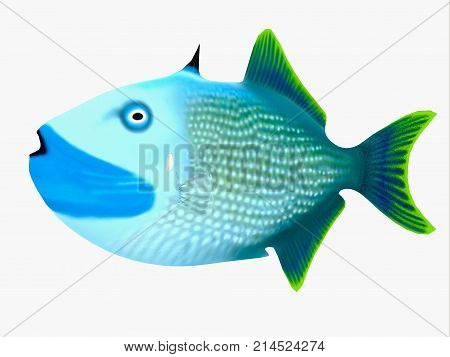 Blue Jaw Triggerfish 3d illustration - The Blue Jaw Triggerfish is a saltwater species reef fish in tropical regions of major oceans.