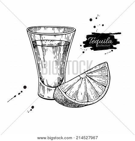 Tequila shot glass with lime. Mexican alcohol drink vector drawing. Sketch of shot glass cocktail with citrus fruit slice. Engraved illustration for label, icon, bar or restaurant menu.