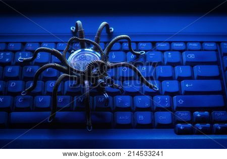 Spider on the computer keyboard virus theme of information security
