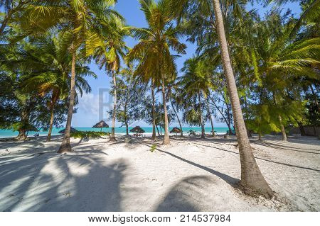 Perfect Tropical White Sandy Beach With Palm Trees