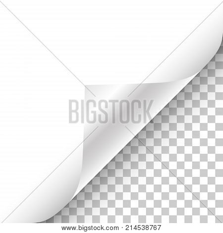 White page curled corner with shadow on transparent background realistic vector illustration