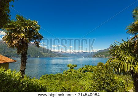 Beautiful Itailan Mountain Lake Como And Palm Tree In Lombardy