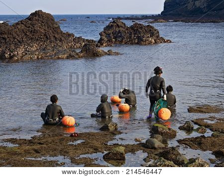 jeju south korea - 3rd november 2017: haenyeo traditional female fishing divers of jeju island. they considered a national treasure. The majority of the divers are above 50 years old with the oldest being 80.