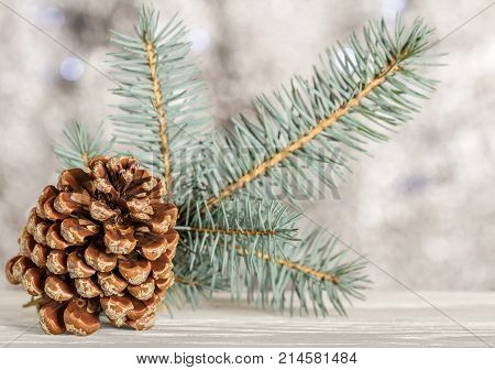 A pinecone. Spruce branch on blurred background.
