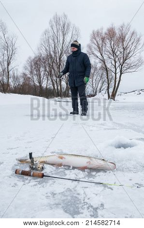 Winter Ice Fishing. Pike Fish Lies On Snow. Fisherman In Action On Background