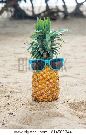 Pineapple In Blue Sunglassses