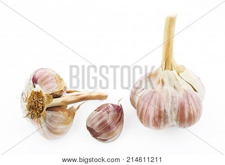 Isolated garlic. Raw garlic isolated on white background
