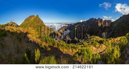 Panorama - Pico Ruivo and Pico do Arierio - Madeira Portugal - travel background