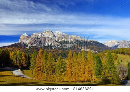 Larch forest in fall colours and The Tofane Group in the Dolomites, Italy, Europe