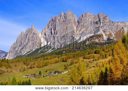 Larch forest in fall colours and The Tofane Group in the Dolomites, Italy, Europe