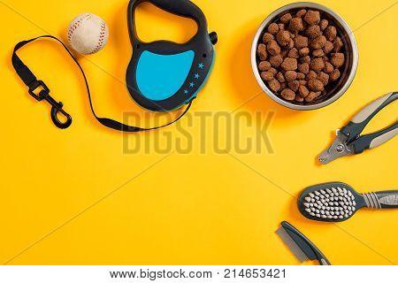 Dog accessories on yellow background. Top view. Pets and animals concept. Still life. Copy space. Flat lay