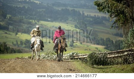 JELDU GOJO, ETHIOPIA-SEPTEMBER 15, 2017: Ethiopian horsemen drive pack animals in rural Ethiopia