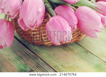 Bouquet Of Pink Tulips