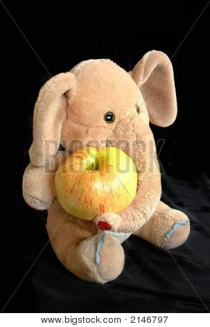 Elefant