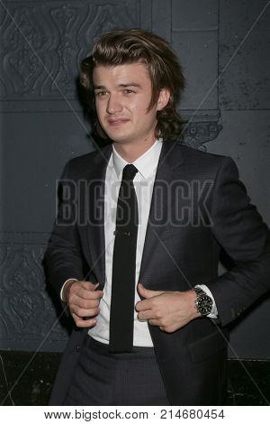 LOS ANGELES - NOV 17:  Joe Keery at 