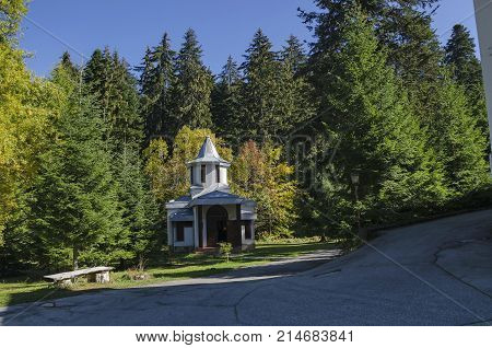 Beautiful  landscape with autumnal  venerable pine tree and old chapel, located in Old park Tsarska or Royal 
Bistritsa near by  resort  Borovets, Rila mountain, Bulgaria