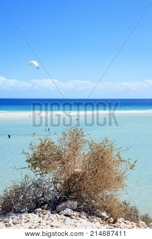 some unrecognizable kitesurfers in the popular Sotavento Beach in Fuerteventura, Canary Islands, Spain