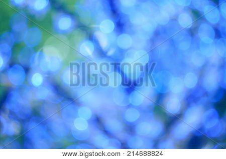 Christmas Led Lights In The Form Of Flowers, Blue Bokeh, Selected Focus