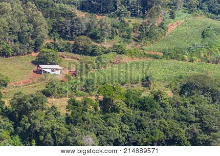 Farm In Valley And Birds In Nova Petropolis