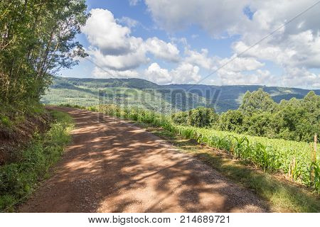 Farm In Valley And Birds In Nova Petropolis
