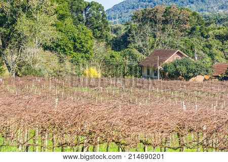 Farm Road In Valley And Mountains In Nova Petropolis