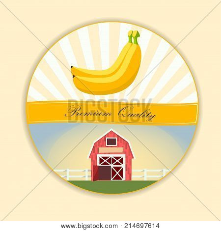 Banana fruit vector illustration. Vector round label, banana jam, sauce or juice label. farm products. eco friendly fruits
