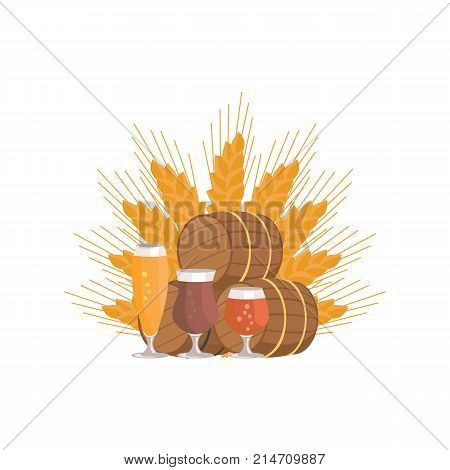 Beer degustation vector illustration on white background. Wooden barrels and three glasses of beverage, draught pale and dark beers on ears of wheat