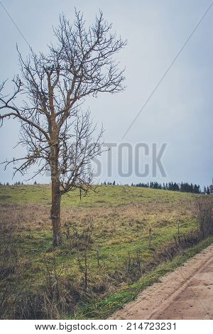Sharp Turn With Warning Sign On A Gravel Road.