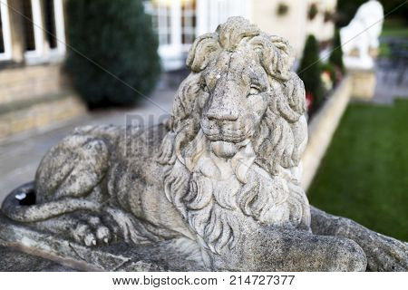 Portrait of a noble and regal male lion stone statue in a stately home garden in England, United Kingdom