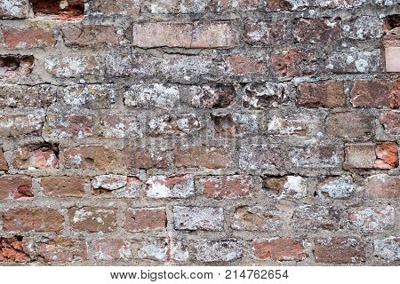 Old Vintage Wall
