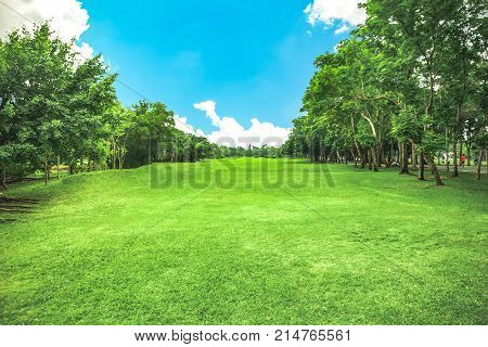 Landscape View Of Grass Feilds At Park