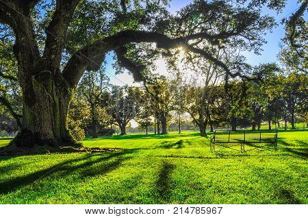 green oak valley with bench for a rest