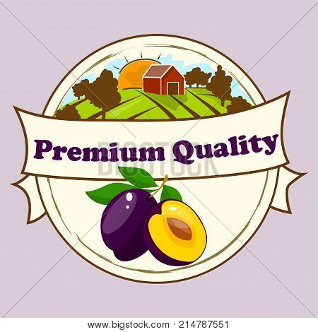 Vector square label, plum jam, sauce or juice label. Ripe plum for food and drink label, tropical dessert or exotic juice packaging design. Plum Farm