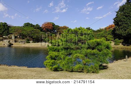 Rikugien Garden In Tokyo, Japan