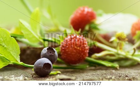 The most beautiful different berries lying on a forest stump