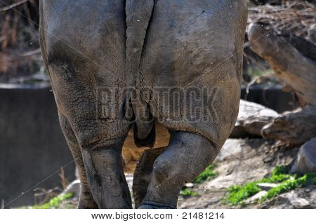 Par derrière