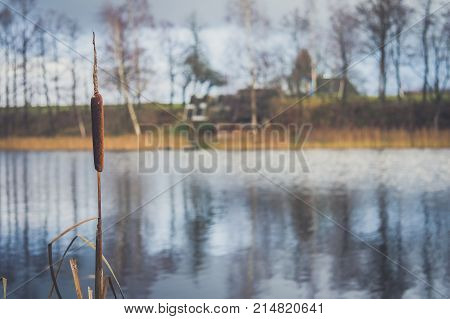 Old Wooden Bath On The Lake Shore